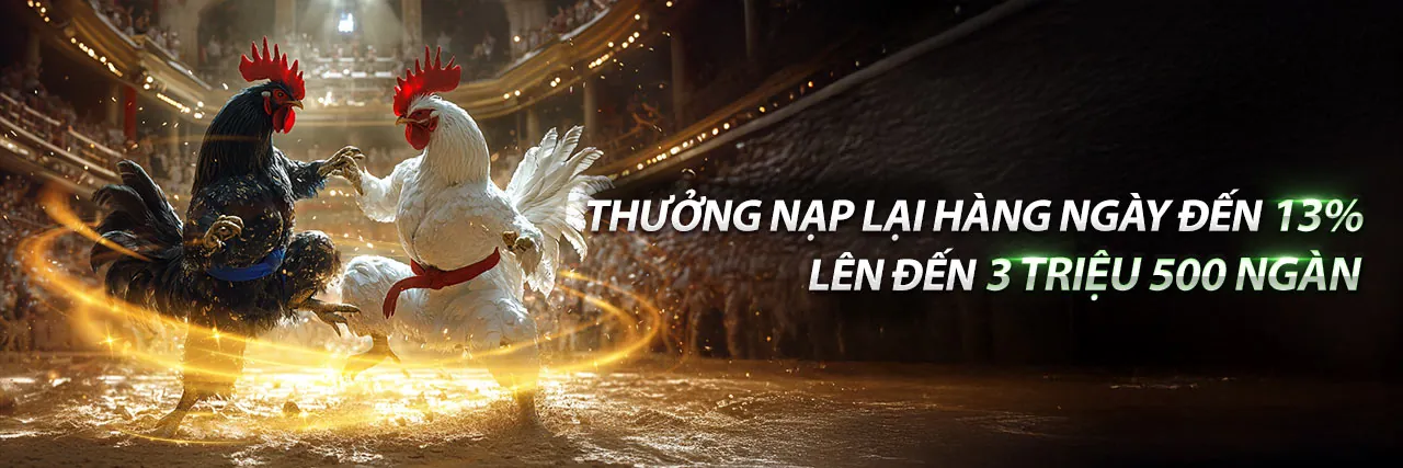 Đá gà trực tiếp sôi động tại Sun789 Login